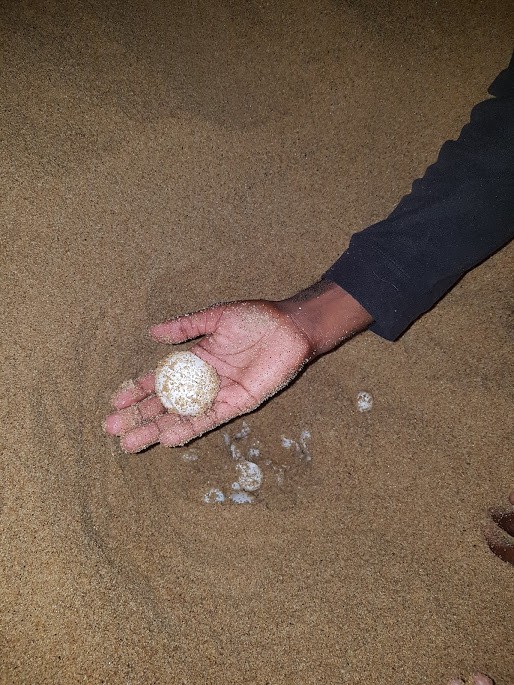 CAMBEÚ, AMOR AMBIENTAL