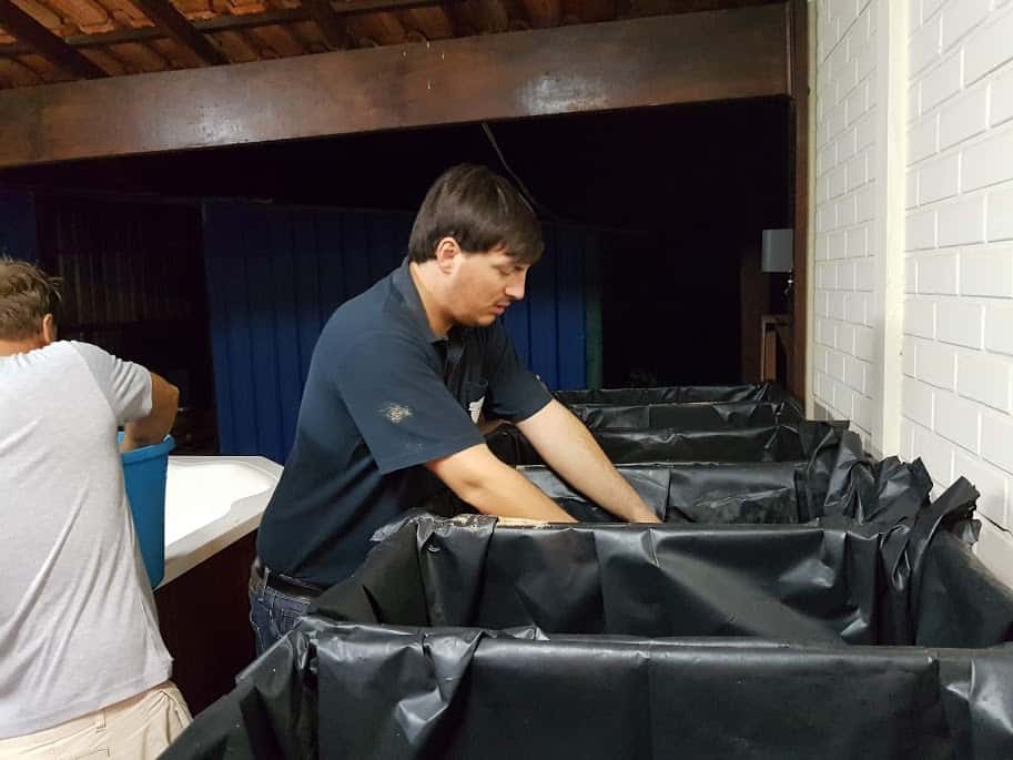 CAMBEÚ, AMOR AMBIENTAL