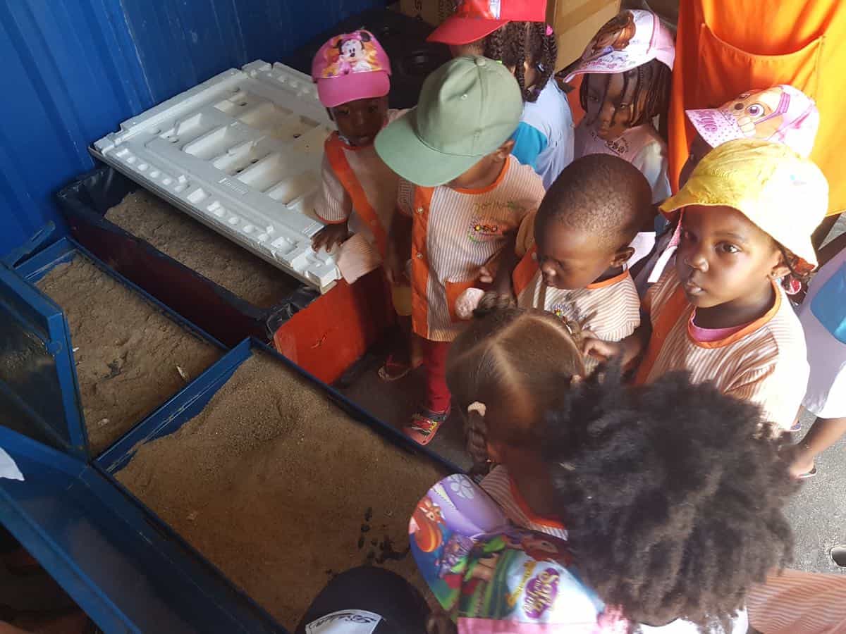 CAMBEÚ, AMOR AMBIENTAL