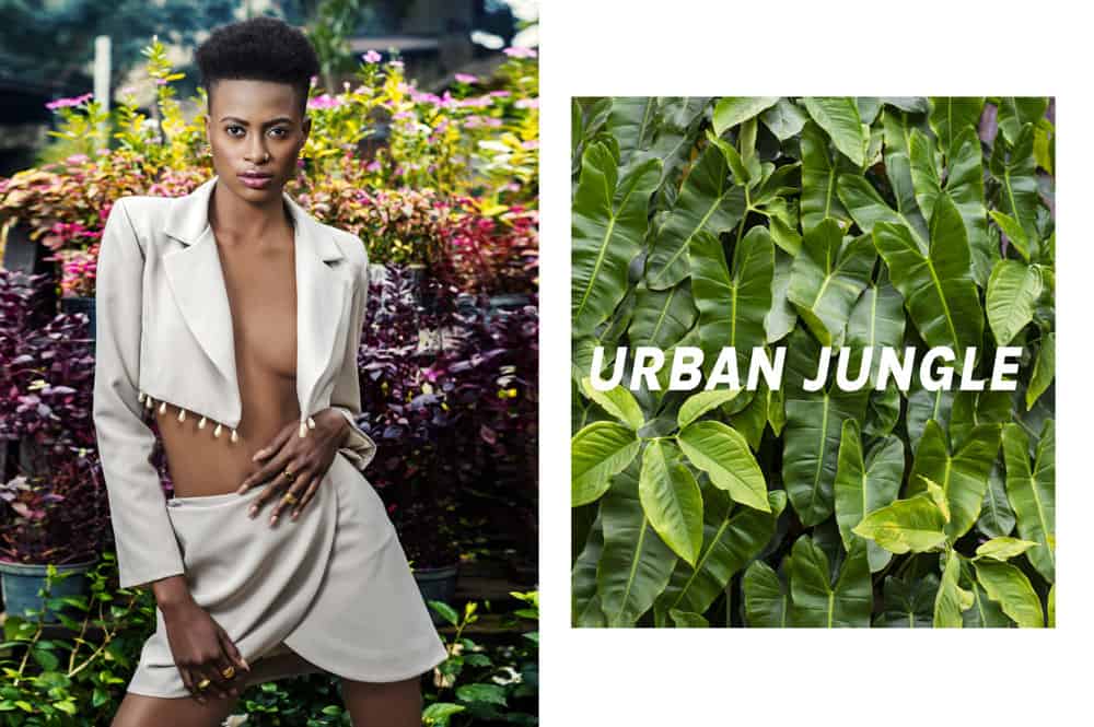 Urban Jungle