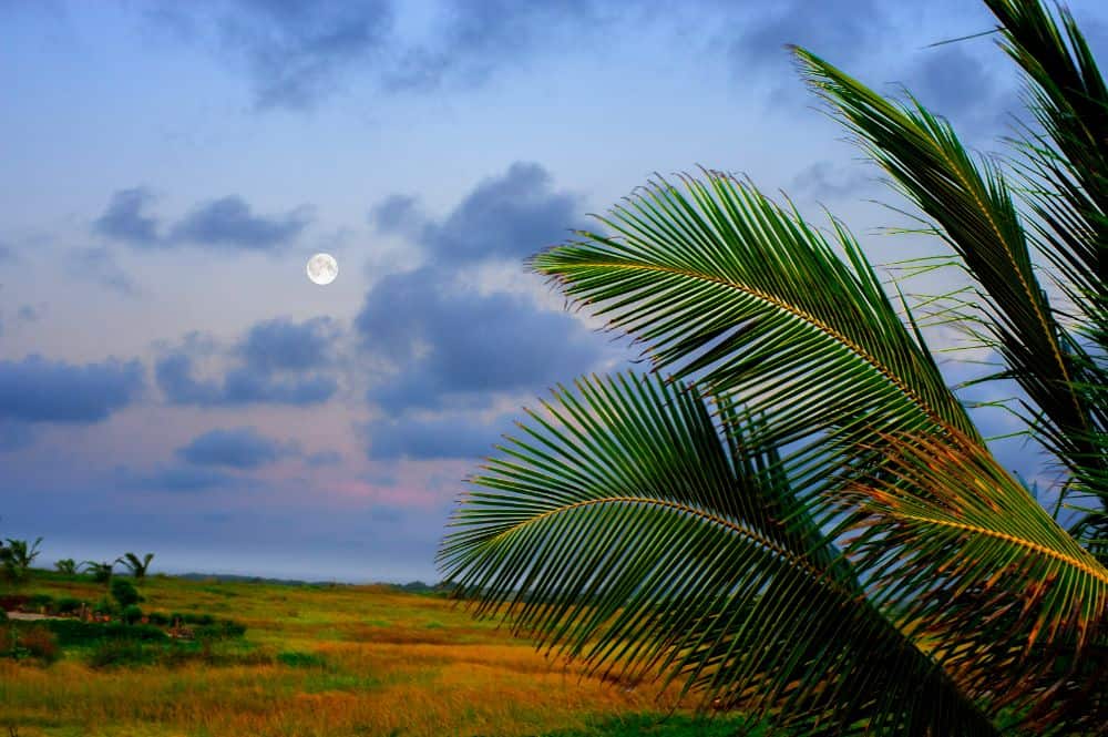 RESORT BAIA DE MUSSERRA