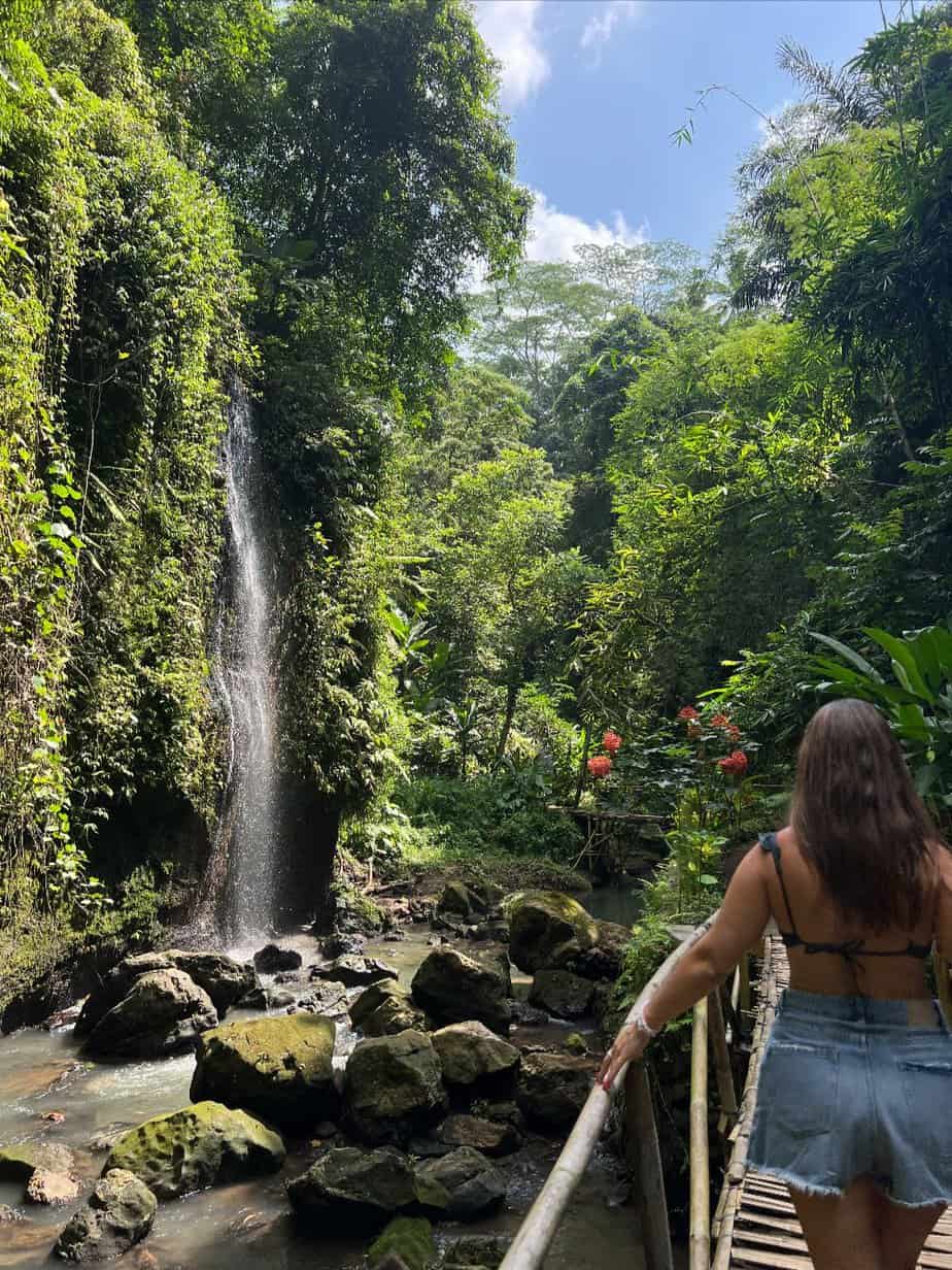 MIMPI: O SONHO COMANDA A VIDA