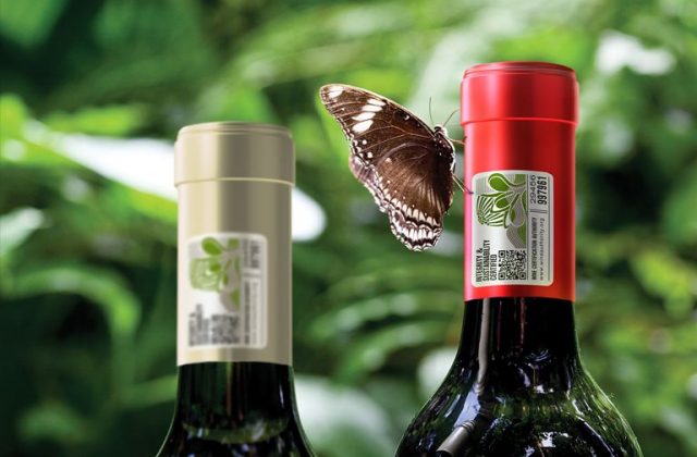 VINHOS DA AFRICA DO SUL CONQUISTAM LUANDA