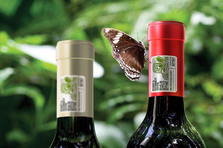 VINHOS DA AFRICA DO SUL CONQUISTAM LUANDA